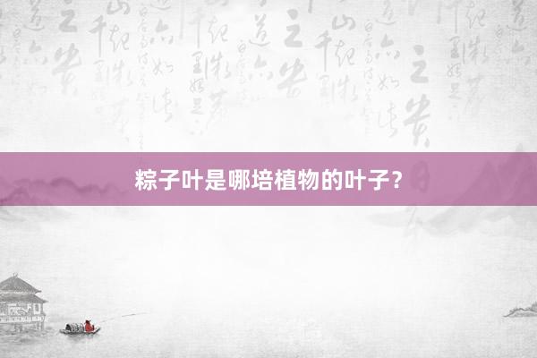 粽子叶是哪培植物的叶子？