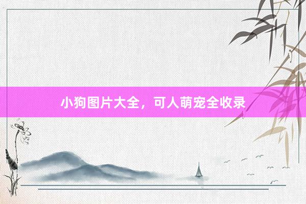 小狗图片大全，可人萌宠全收录