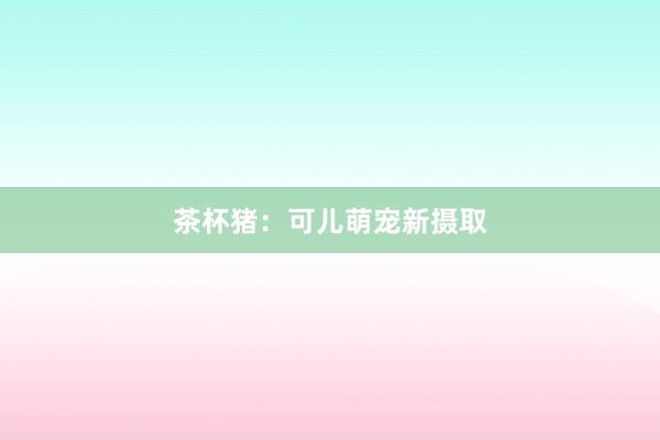 茶杯猪:可儿萌宠新摄取