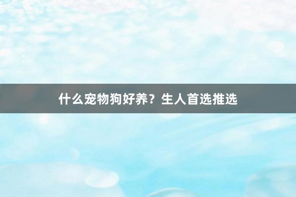 什么宠物狗好养?生人首选推选