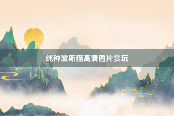 纯种波斯猫高清图片赏玩